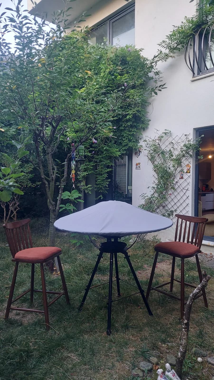 BAZZ360 sahibinin kendi bahçesinden paylaştığı fotoğraf